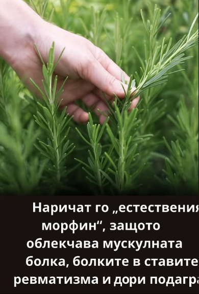 Screenshot_1